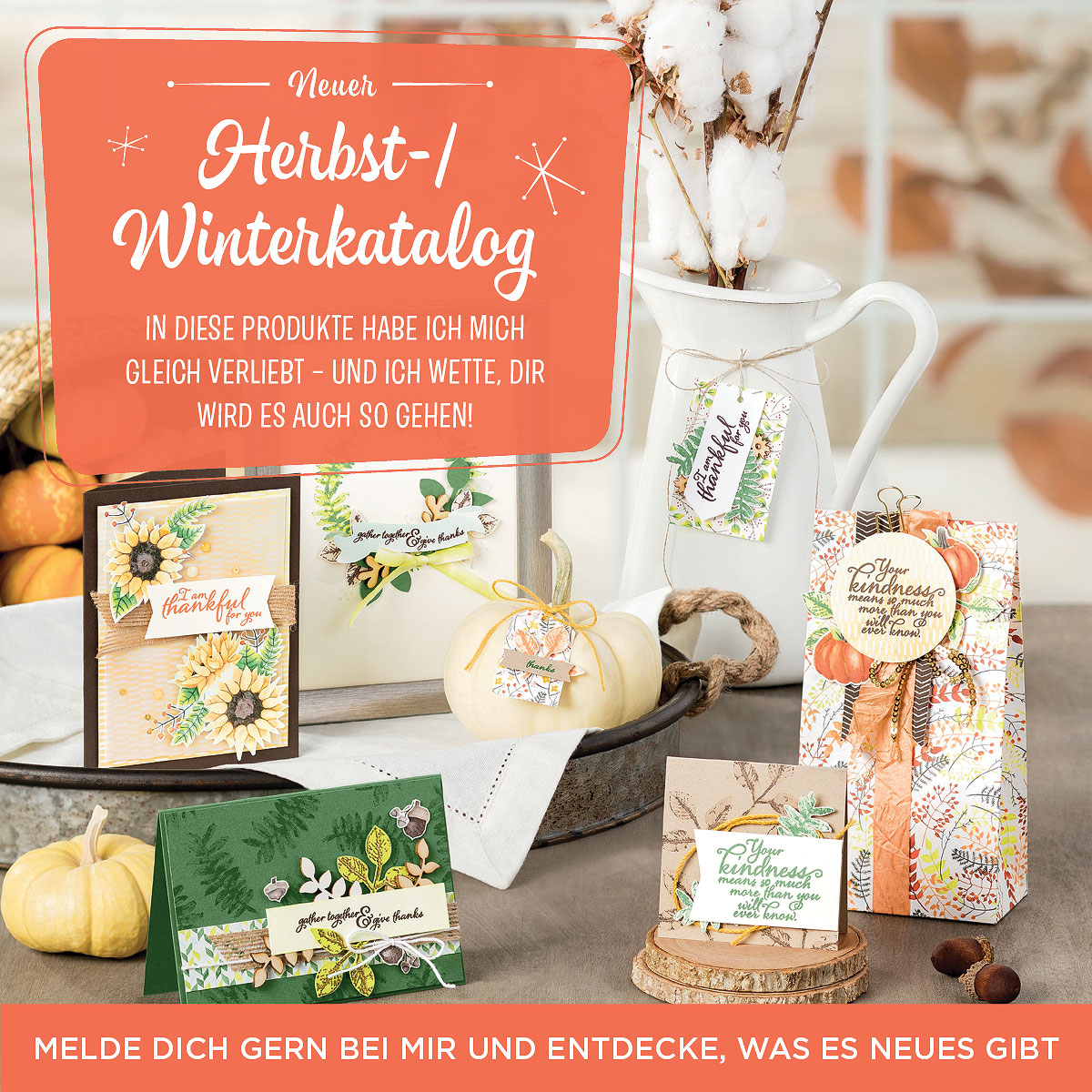 Neue Produkte im aktuellen Herbst / Winterkatalog crehand